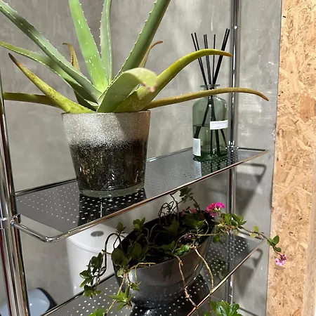 D'hotes Goudin Avion