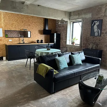 D'hotes Goudin Avion